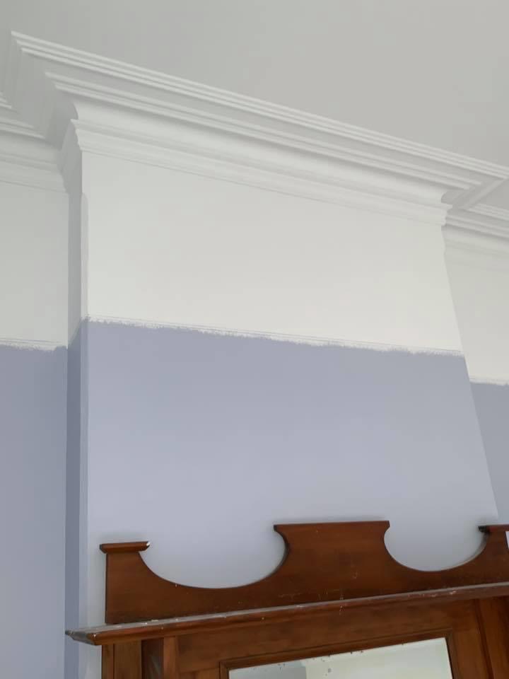 Decorative cornice plaster detail